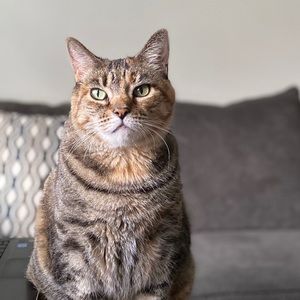 Meet your Posher, Lendsey